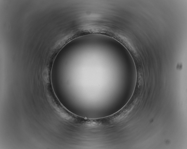 X0000097470453200802221239