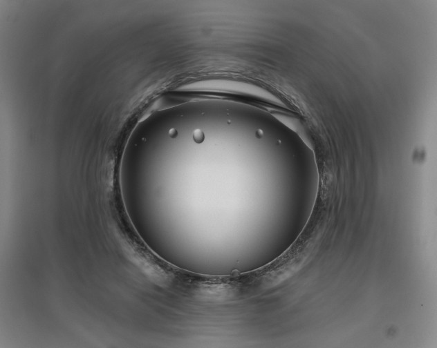 X0000097470454200802221239