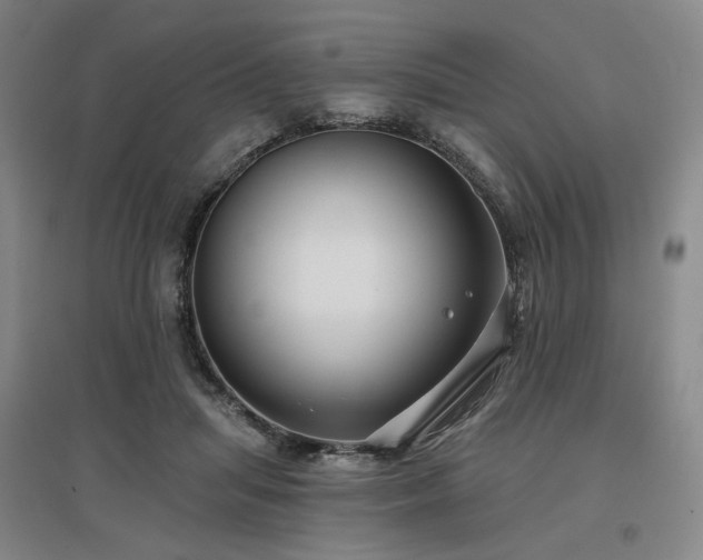 X0000097470455200802221239