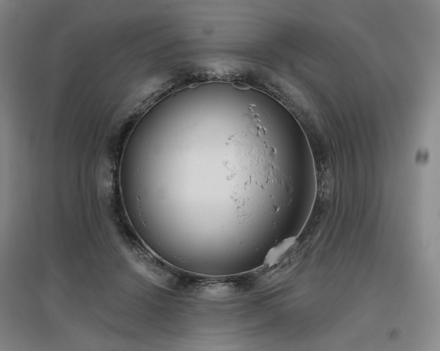 X0000097470456200802221239