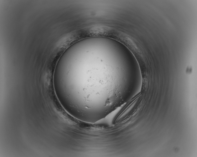 X0000097470458200802221239