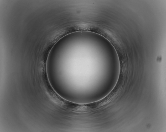 X0000097470459200802221239