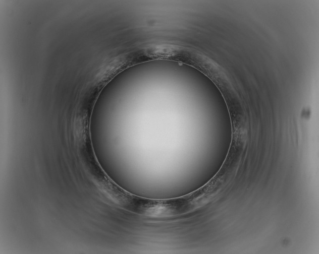 X0000097470460200802221239