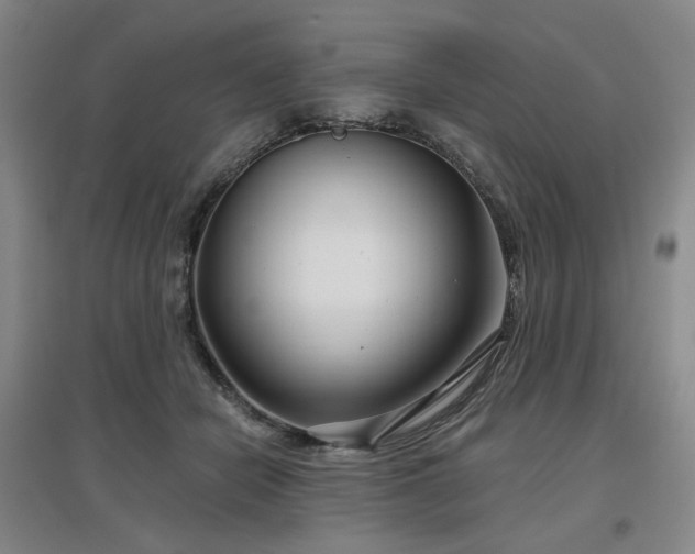 X0000097470462200802221239