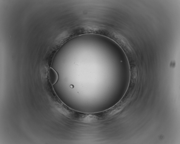 X0000097470463200802221239