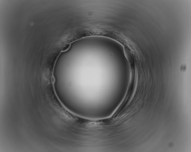 X0000097470465200802221239