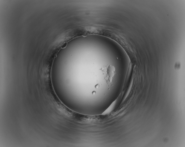 X0000097470466200802221240