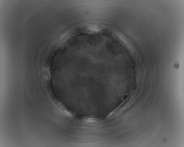 X0000097470467200802221240