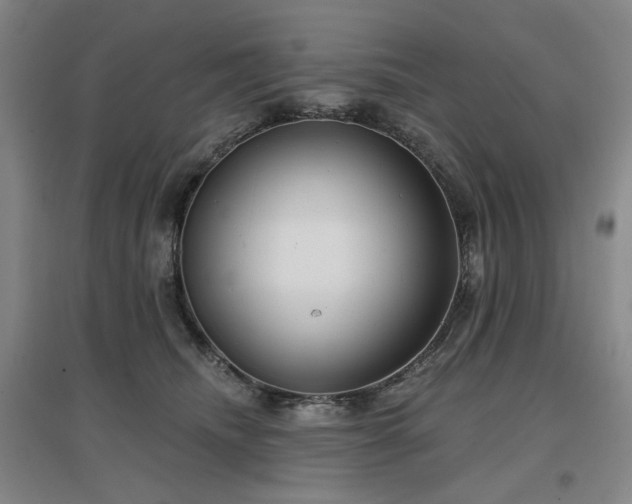 X0000097470468200802221240