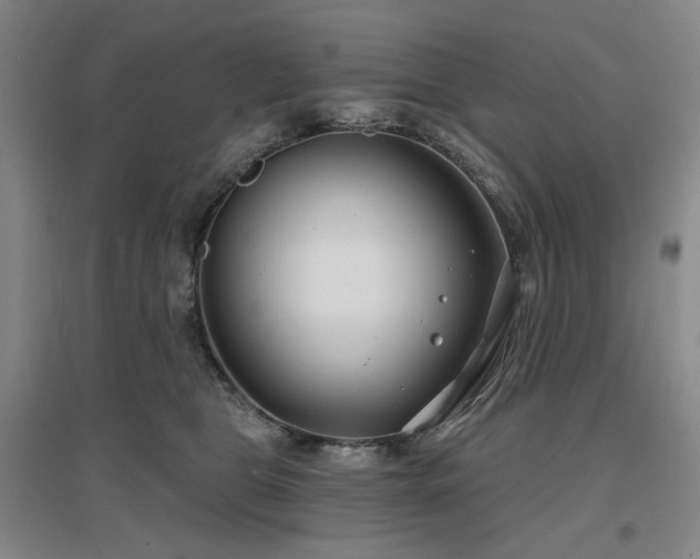 X0000097470469200802221240