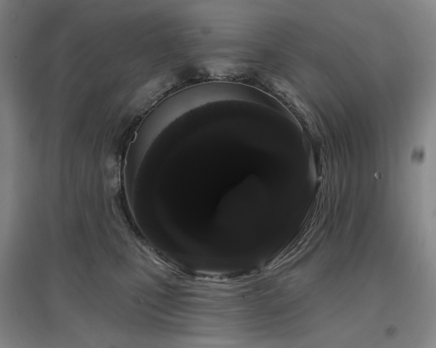 X0000097470471200802221240
