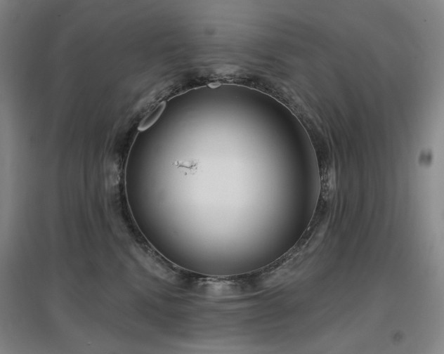 X0000097470472200802221240
