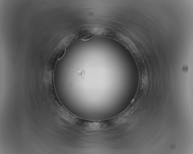 X0000097470473200802221240