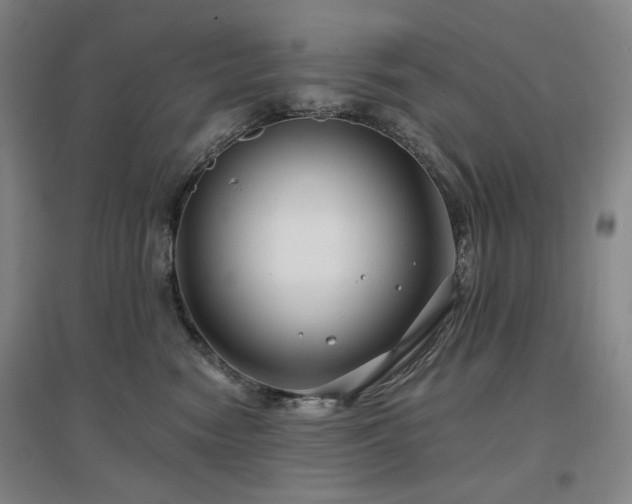 X0000097470474200802221240