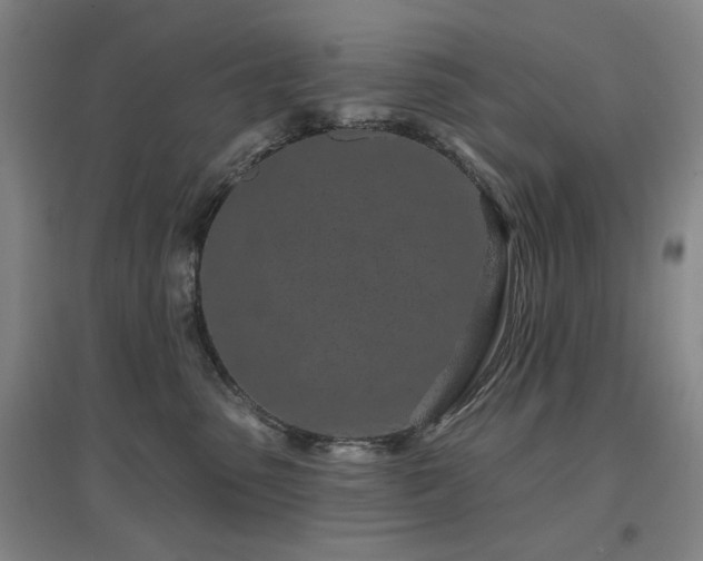 X0000097470475200802221240