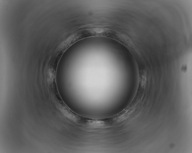 X0000097470476200802221240