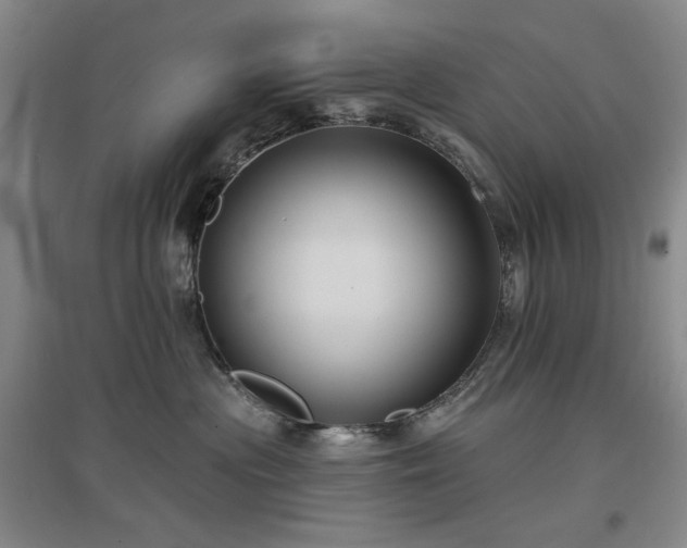 X0000097470477200802221240
