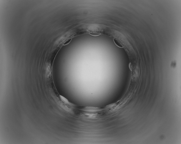 X0000097470478200802221240