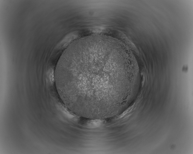 X0000097470479200802221240