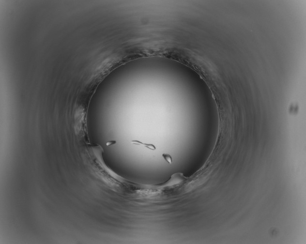 X0000097470480200802221240