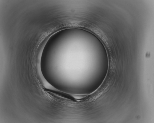 X0000097470481200802221239