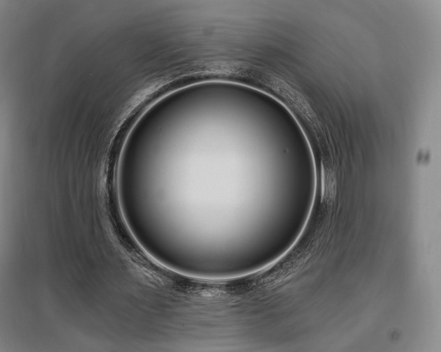 X0000097470483200802221239