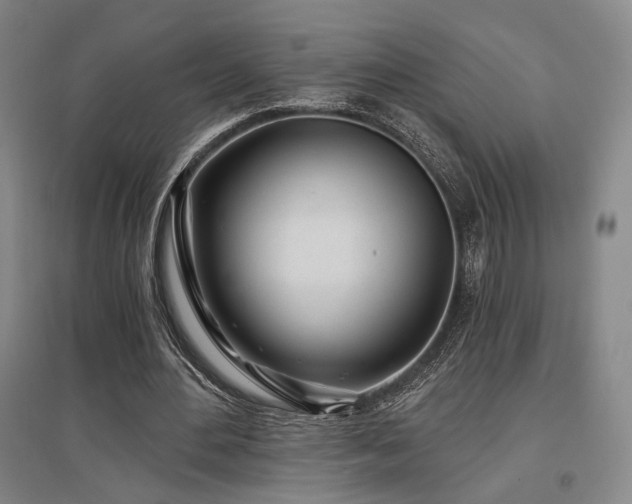 X0000097470484200802221239