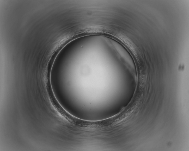 X0000097470485200802221239