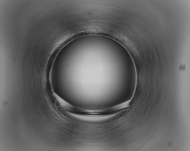X0000097470488200802221239