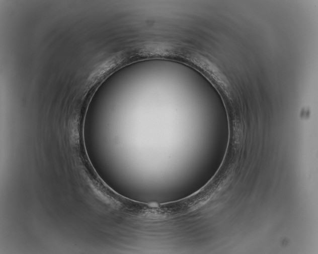 X0000097470489200802221239