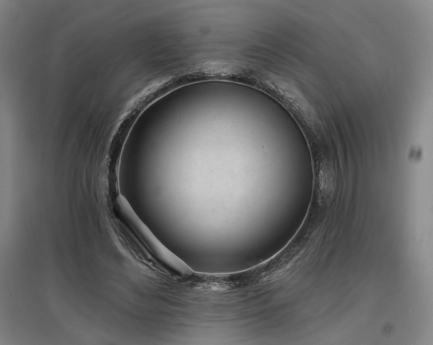 X0000097470492200802221239