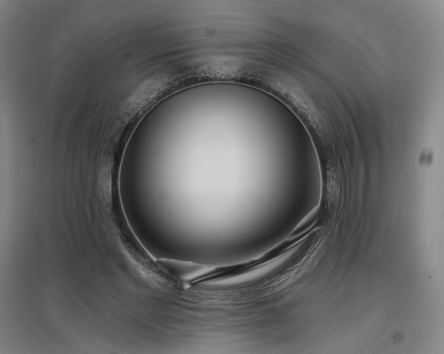 X0000097470493200802221239