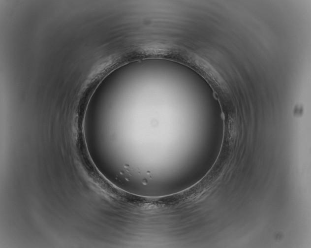 X0000097470494200802221239