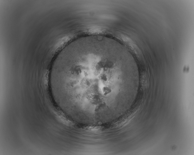 X0000097470495200802221239