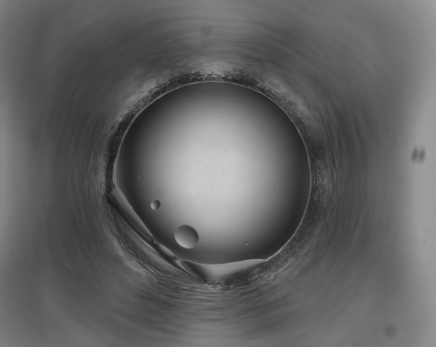 X0000097470496200802221239