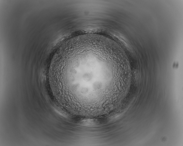 X0000097470499200802221239