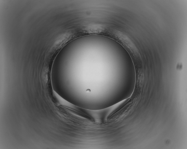 X0000097470501200802221239