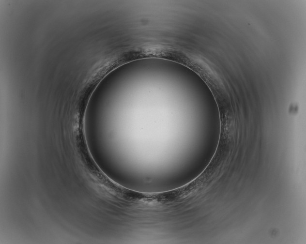 X0000097470502200802221239
