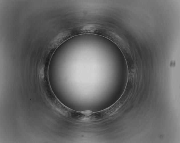 X0000097470504200802221239