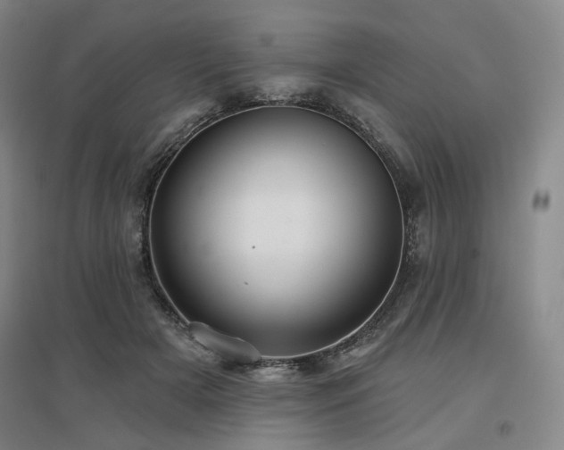 X0000097470505200802221239