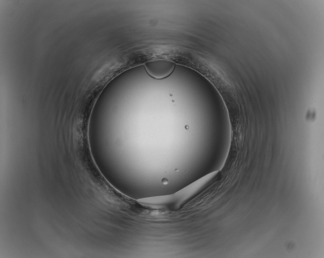 X0000097470506200802221239