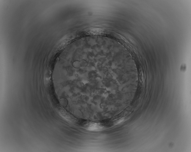 X0000097470507200802221239