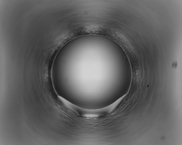 X0000097470508200802221239