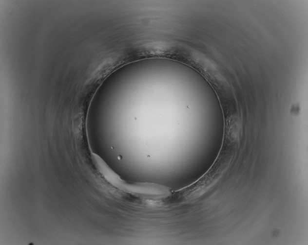 X0000097470509200802221239