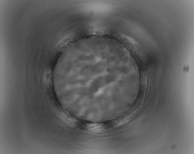 X0000097470511200802221239