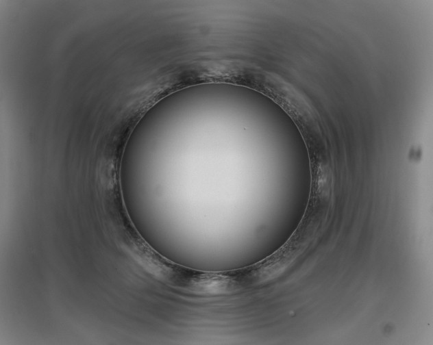 X0000097470514200802221239