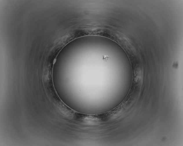 X0000097470515200802221239