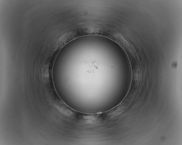 X0000097470516200802221239