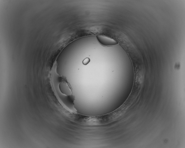 X0000097470518200802221239