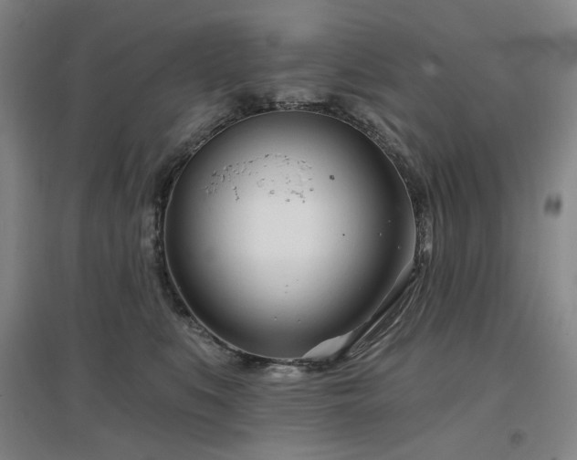 X0000097470519200802221239